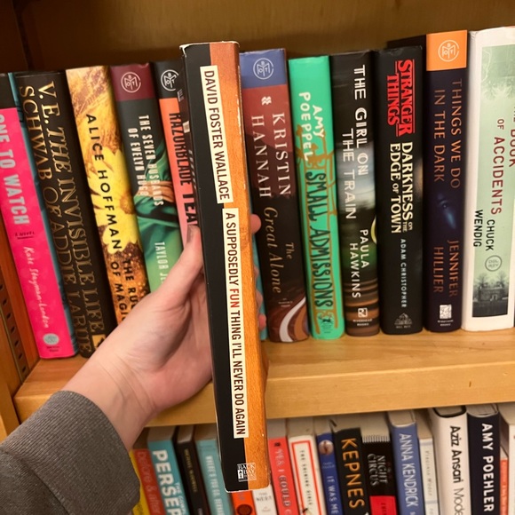 4/$25 A Supposedly Fun Thing I'll Never Do Again by David Foster Wallace - Picture 2 of 3